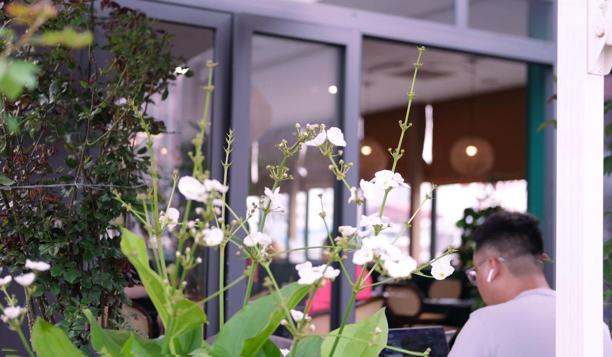 The Bloom Hanoi - Bespoke Living Εξωτερικό φωτογραφία