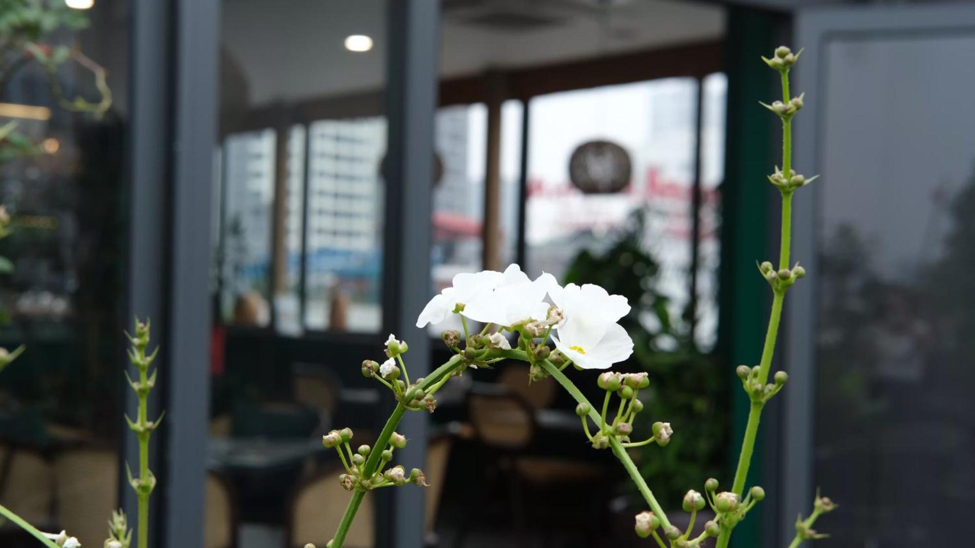 The Bloom Hanoi - Bespoke Living Εξωτερικό φωτογραφία